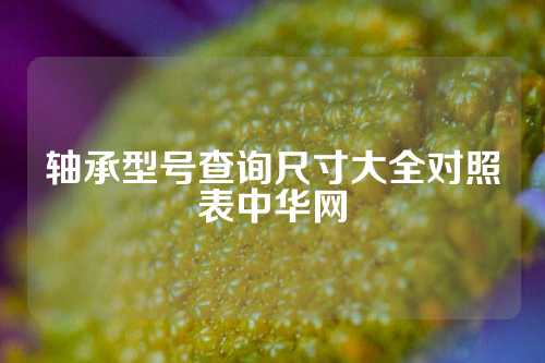 軸承型號(hào)查詢尺寸大全對照表中華網(wǎng)