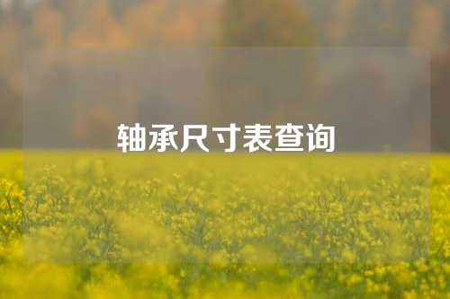 軸承尺寸表查詢