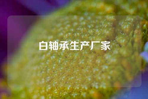 白軸承生產(chǎn)廠家