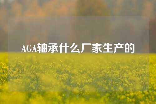 AGA軸承什么廠家生產(chǎn)的