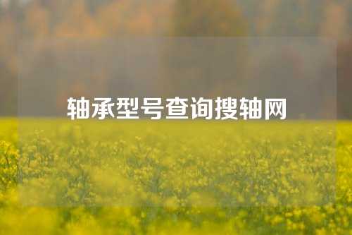 軸承型號查詢搜軸網(wǎng)