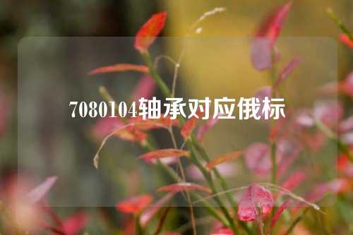 7080104軸承對應俄標