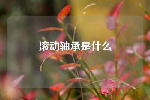 滾動(dòng)軸承是什么