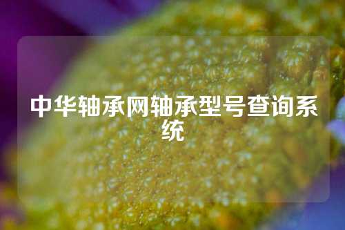 中華軸承網(wǎng)軸承型號(hào)查詢(xún)系統(tǒng)