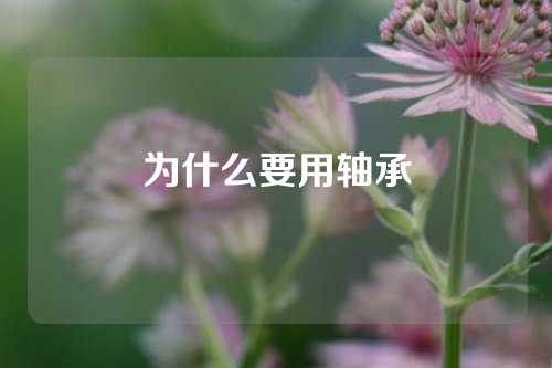 為什么要用軸承