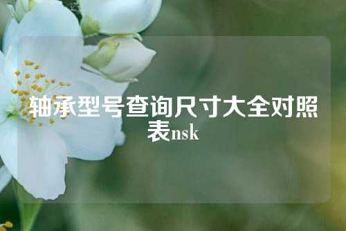 軸承型號查詢尺寸大全對照表nsk