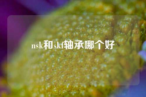 nsk和skf軸承哪個好