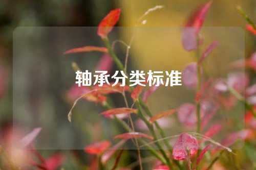 軸承分類標(biāo)準(zhǔn)