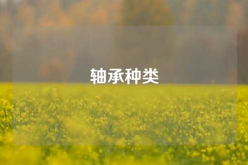 軸承種類(lèi)