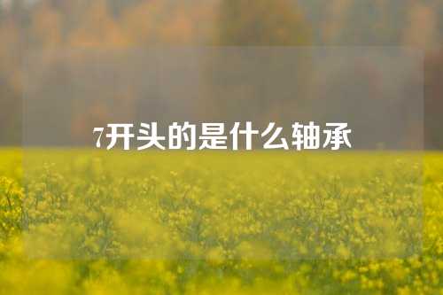 7開頭的是什么軸承