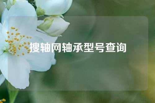 搜軸網(wǎng)軸承型號查詢