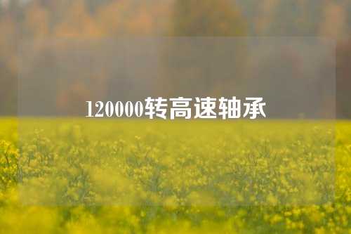 120000轉(zhuǎn)高速軸承