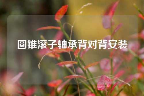 圓錐滾子軸承背對(duì)背安裝