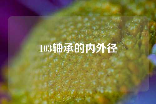 103軸承的內(nèi)外徑