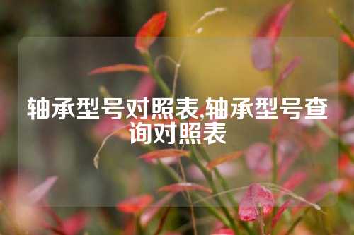 軸承型號(hào)對(duì)照表,軸承型號(hào)查詢對(duì)照表