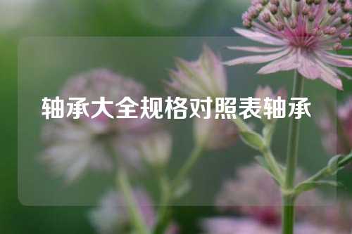 軸承大全規(guī)格對照表軸承