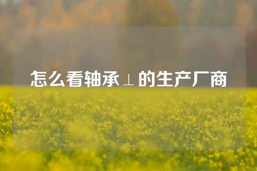 怎么看軸承⊥的生產(chǎn)廠商