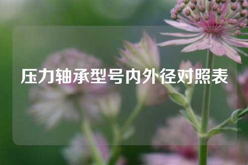 壓力軸承型號內(nèi)外徑對照表