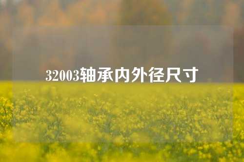 32003軸承內(nèi)外徑尺寸