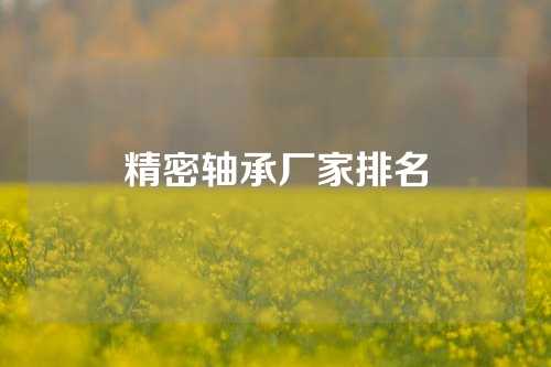 精密軸承廠家排名