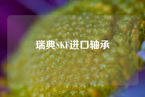 瑞典SKF進(jìn)口軸承