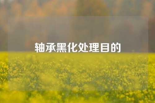 軸承黑化處理目的