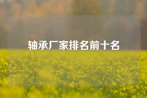 軸承廠家排名前十名