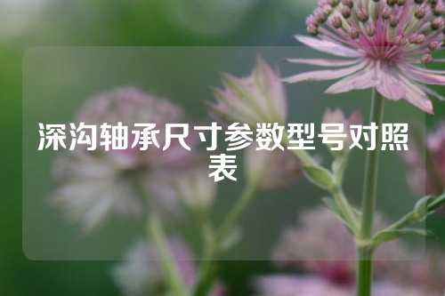 深溝軸承尺寸參數(shù)型號(hào)對(duì)照表