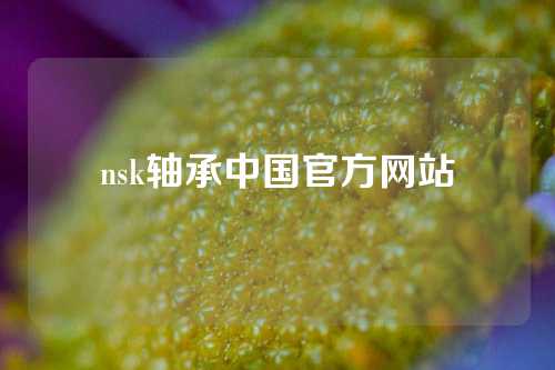 nsk軸承中國(guó)官方網(wǎng)站