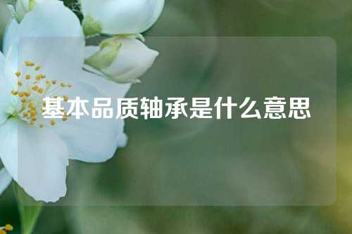 基本品質(zhì)軸承是什么意思