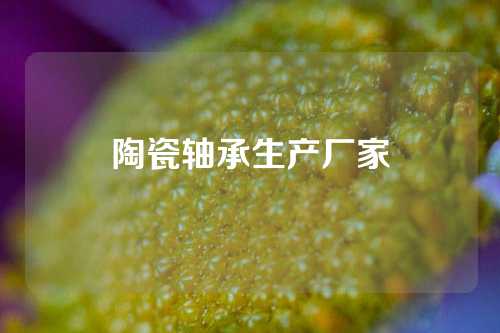 陶瓷軸承生產(chǎn)廠家