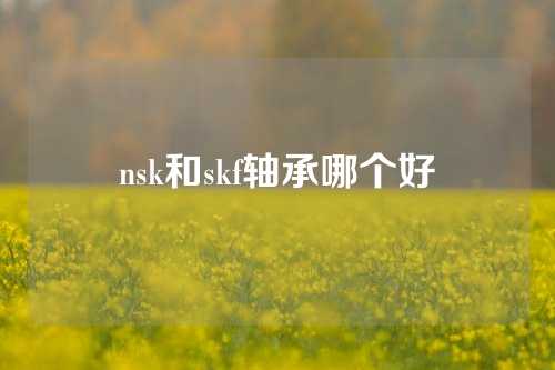 nsk和skf軸承哪個好