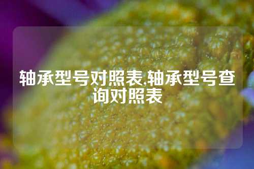 軸承型號(hào)對(duì)照表,軸承型號(hào)查詢對(duì)照表