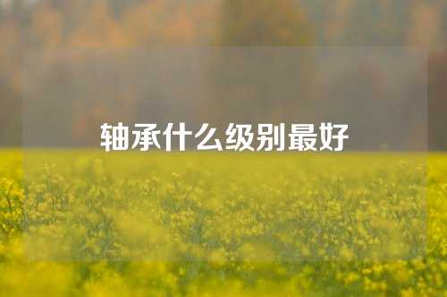 軸承什么級別最好