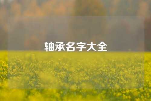 軸承名字大全