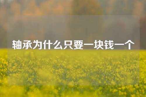 軸承為什么只要一塊錢一個(gè)