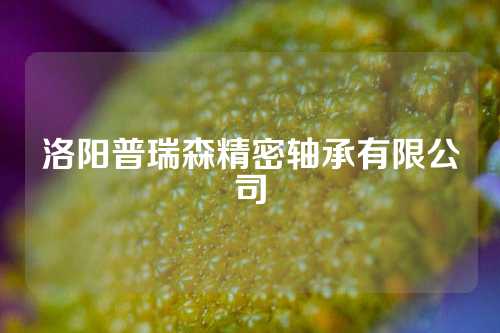 洛陽普瑞森精密軸承有限公司