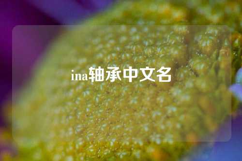 ina軸承中文名