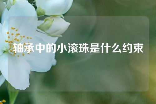 軸承中的小滾珠是什么約束