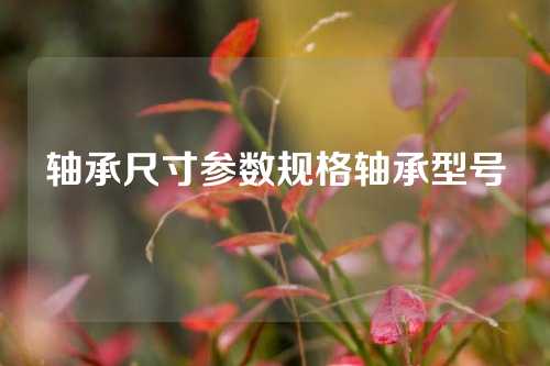 軸承尺寸參數(shù)規(guī)格軸承型號