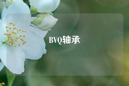 BVQ軸承