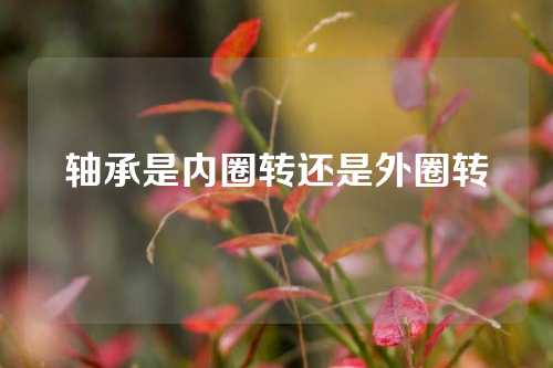 軸承是內(nèi)圈轉(zhuǎn)還是外圈轉(zhuǎn)