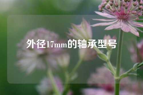 外徑17mm的軸承型號