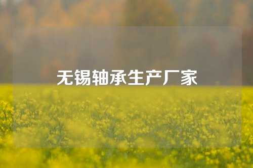 無錫軸承生產(chǎn)廠家