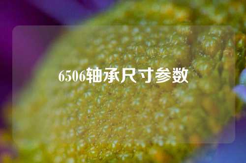 6506軸承尺寸參數(shù)