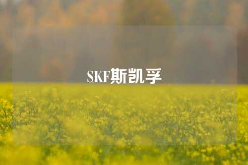 SKF斯凱孚