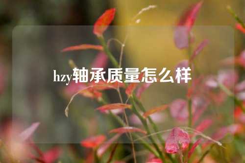 hzy軸承質(zhì)量怎么樣