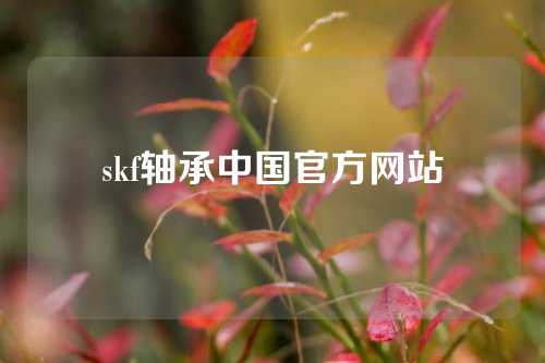 skf軸承中國官方網(wǎng)站