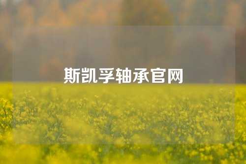 斯凱孚軸承官網(wǎng)