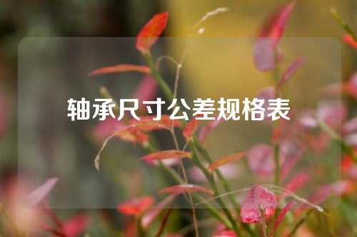 軸承尺寸公差規(guī)格表